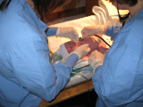 0903GraceBirth (35)